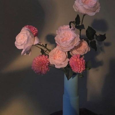 星空体育官方网站